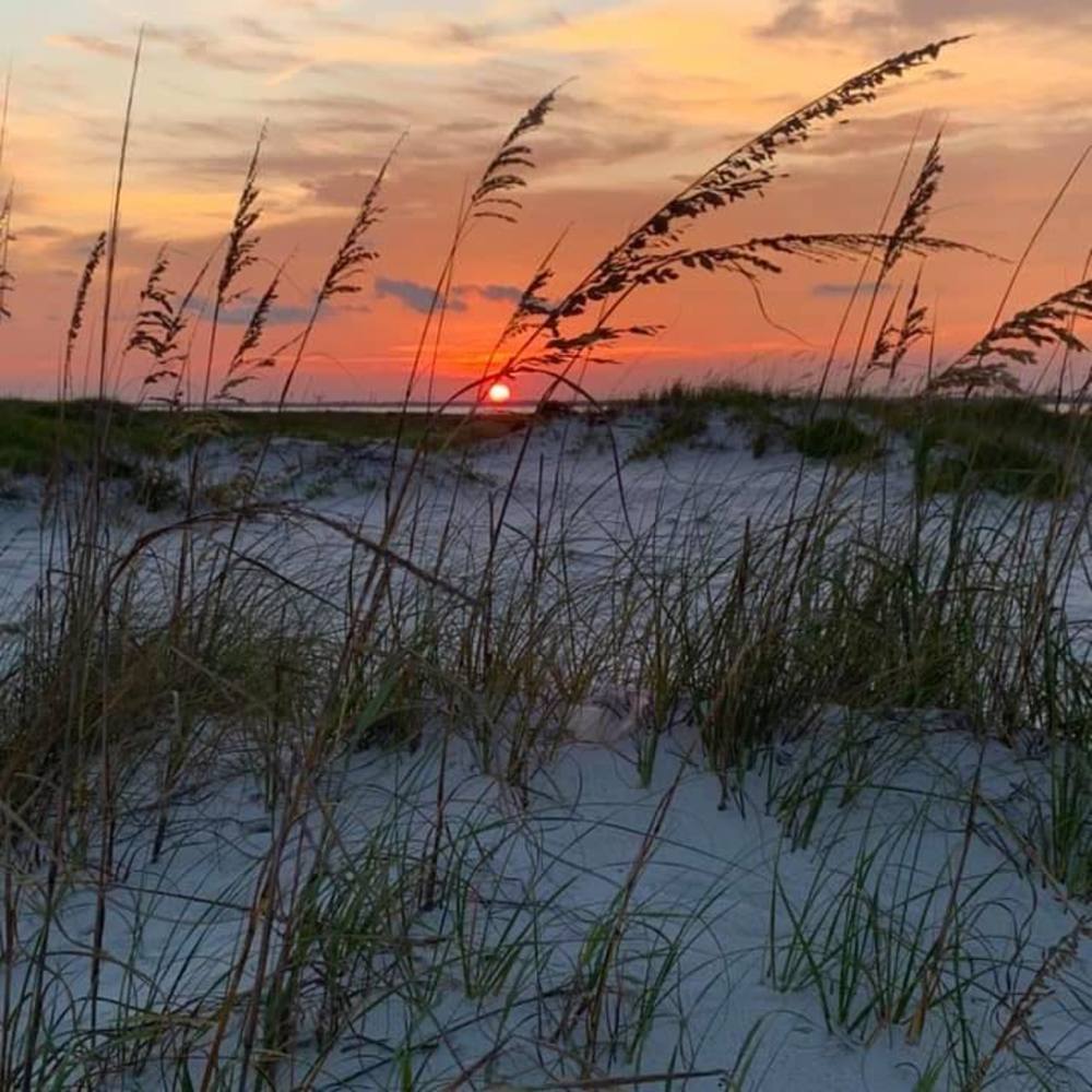 Meet your Posher, Ric